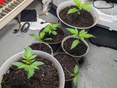 PXL 20231226 171656444