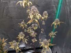 PXL 20240126 174538722