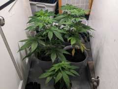 PXL 20240126 174647461